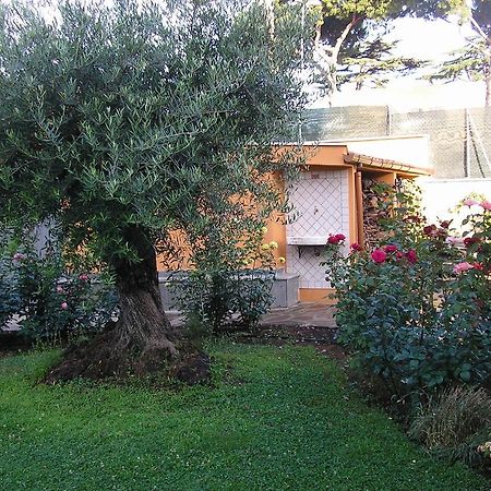 Al Vecchio Olivo Bed and Breakfast Frascati Buitenkant foto