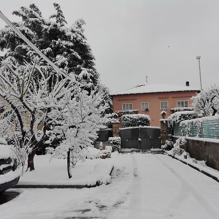 Al Vecchio Olivo Bed and Breakfast Frascati Buitenkant foto
