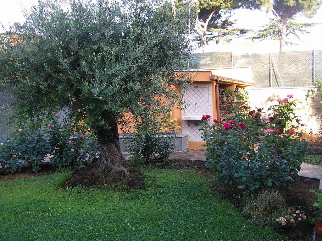 Al Vecchio Olivo Bed and Breakfast Frascati Buitenkant foto