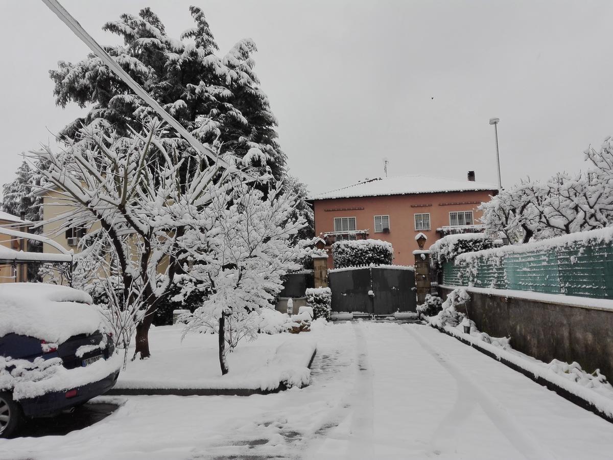 Al Vecchio Olivo Bed and Breakfast Frascati Buitenkant foto