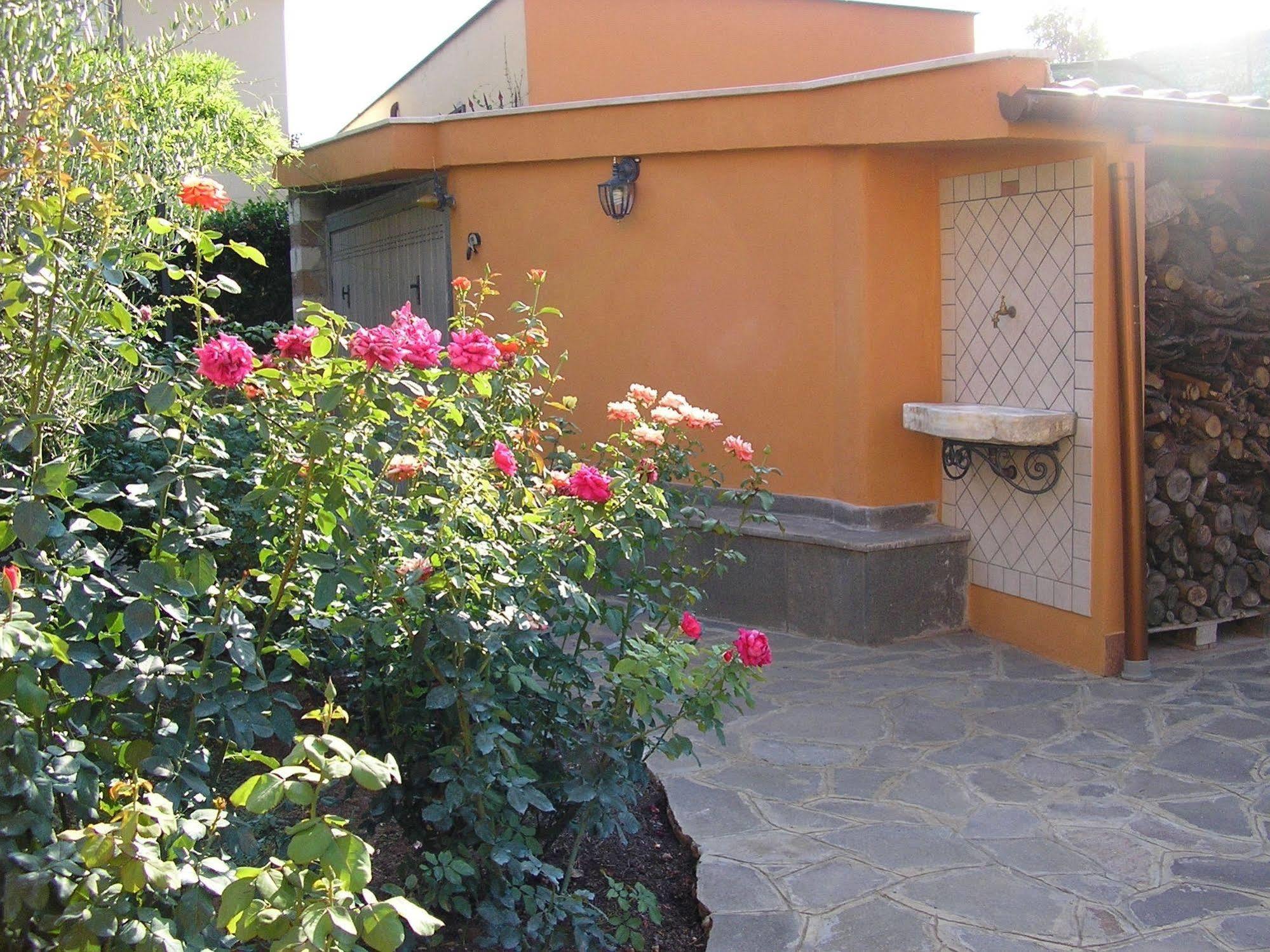 Al Vecchio Olivo Bed and Breakfast Frascati Buitenkant foto