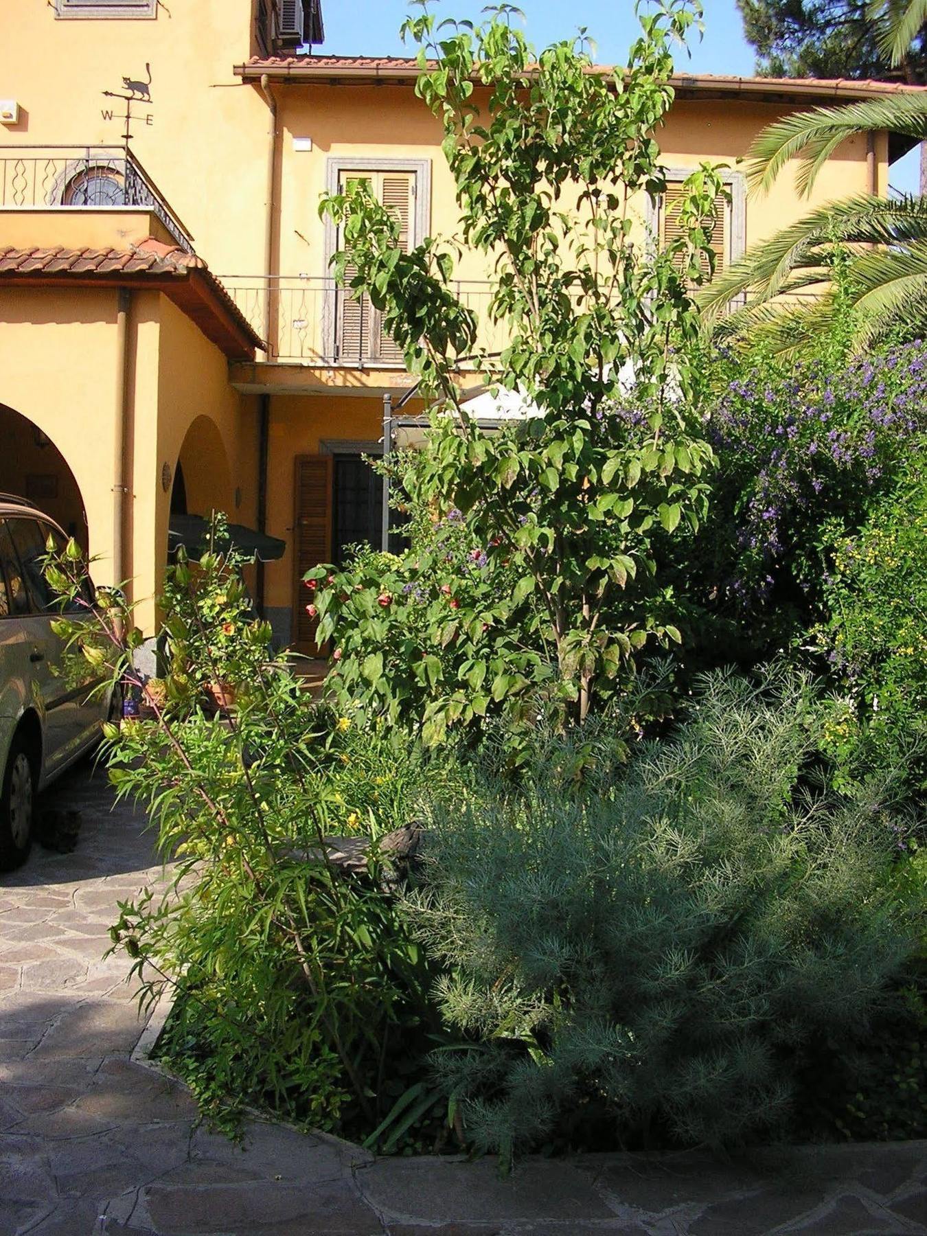 Al Vecchio Olivo Bed and Breakfast Frascati Buitenkant foto