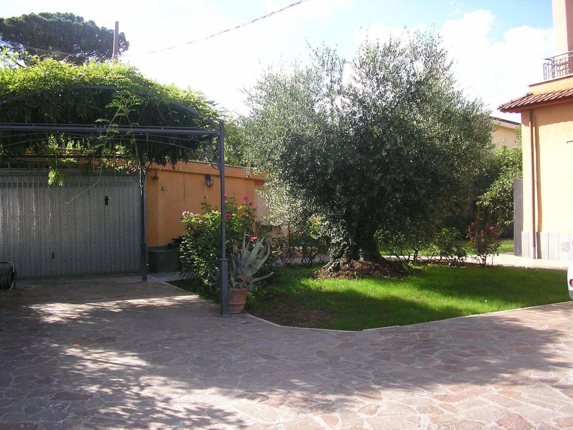 Al Vecchio Olivo Bed and Breakfast Frascati Buitenkant foto